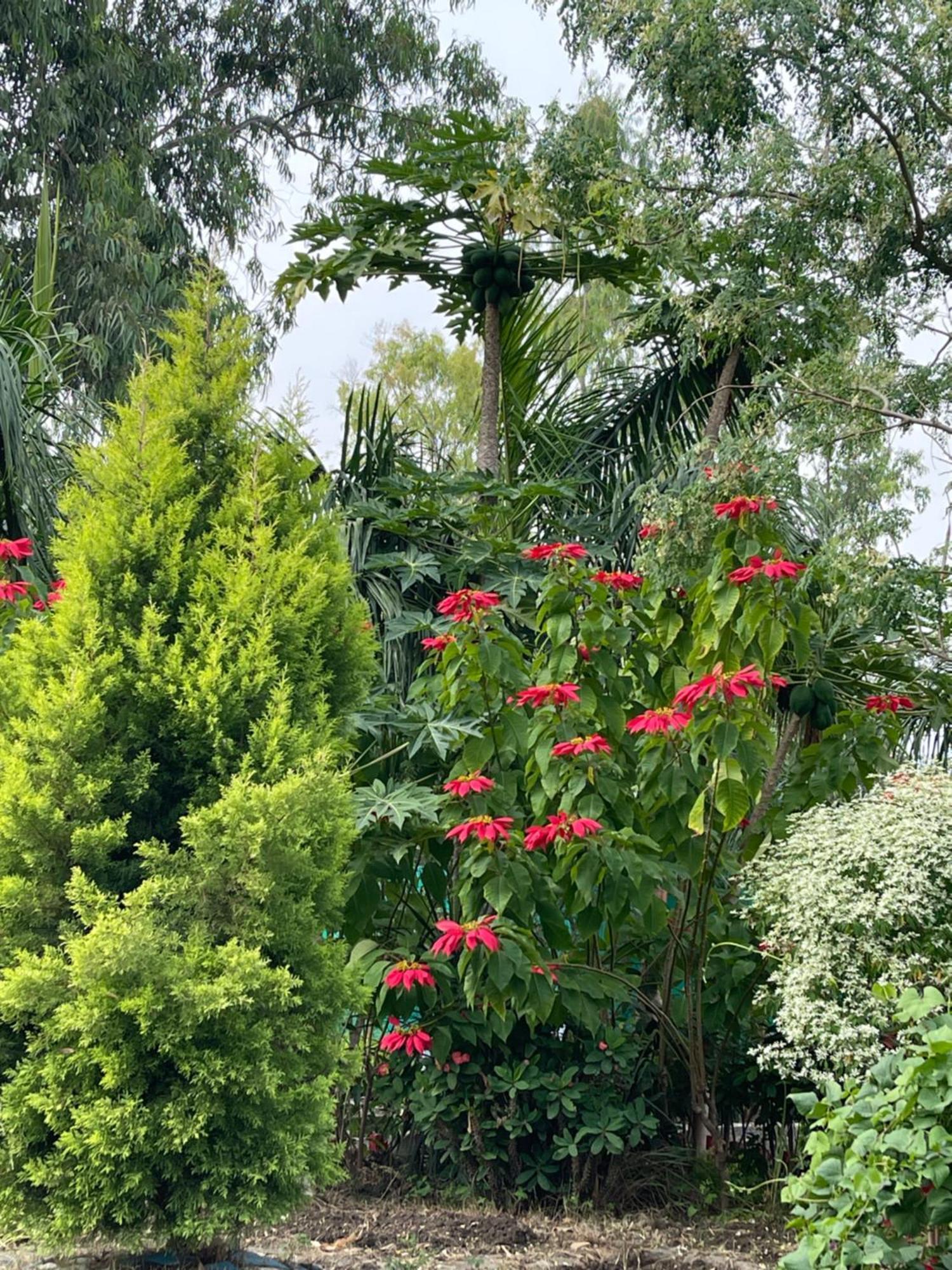 Tekri Farms And Retreat Hotell Ujjain Exteriör bild